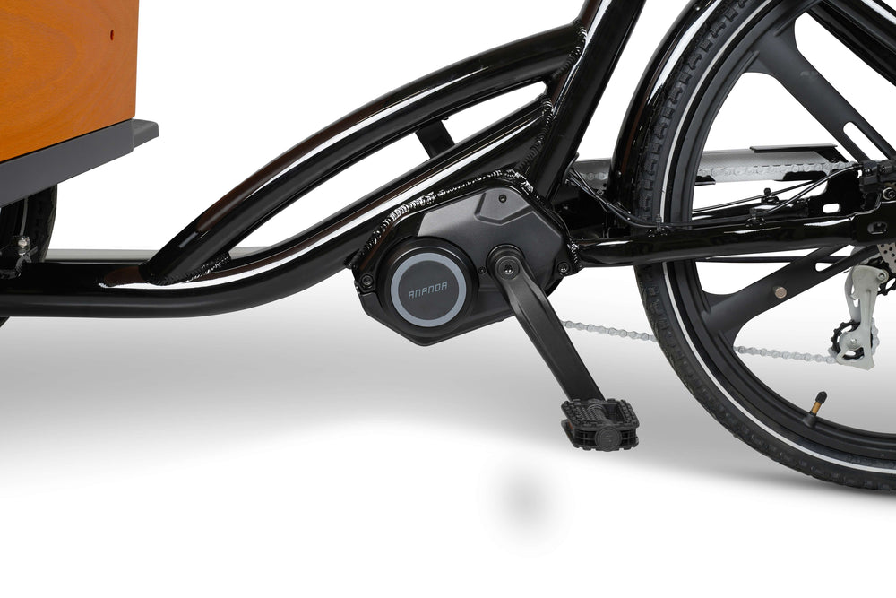 Pedal på Store Klaus el-ladcykel fra EventyrCykler