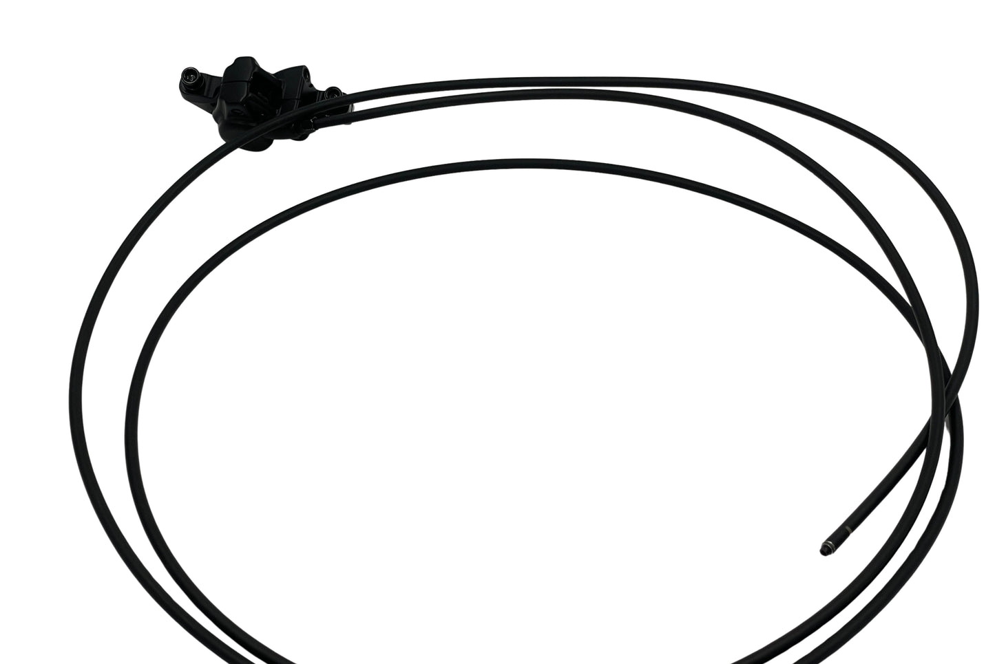 Sort bremsekaliber med slange fra Bengal